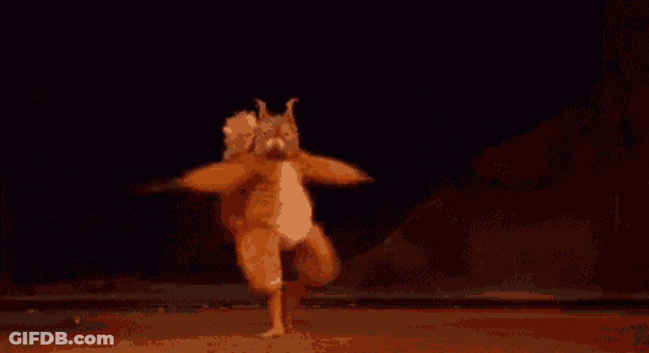 Dancing Squirrel GIF
