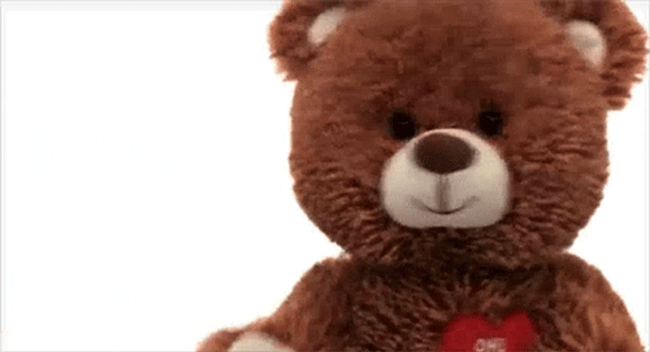 Dancing Teddy Bear Panic GIF