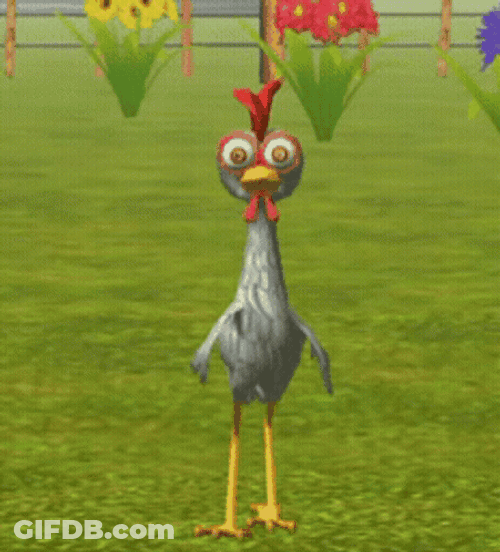 Dancing Thin Rooster Chicken GIF