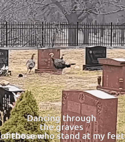 Dancing Through Graves Of Those Who Stand GIF