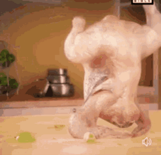 Dancing Turkey Booty Shake GIF