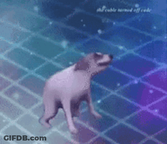 Dancing Voting Day GIF