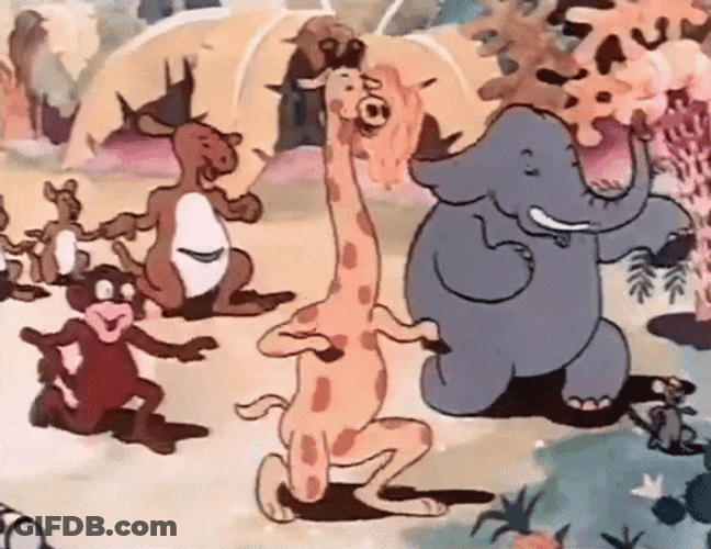 Dancing Zoo Animal GIF