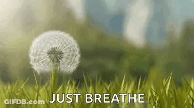 Dandelion Blowing In The Wind Just Breathe GIF