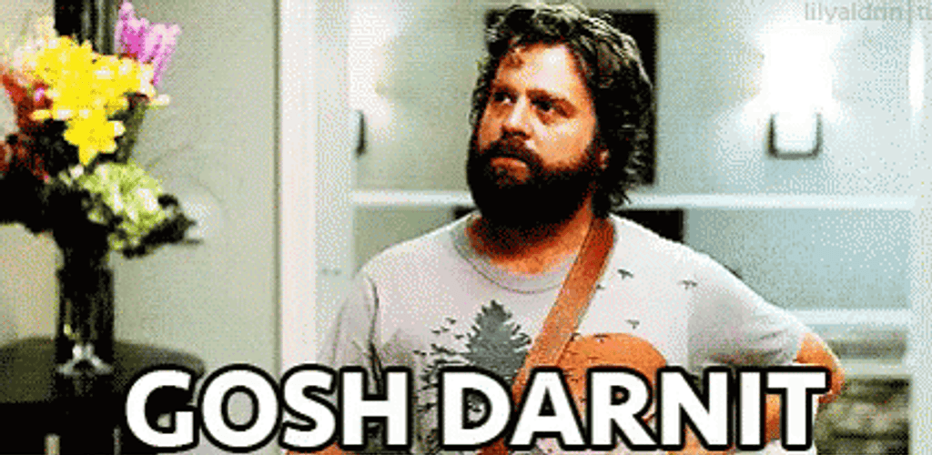Dang Funny Man Zach Galifianakis GIF