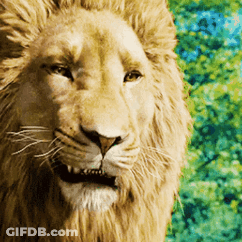 Dangerous Roar Lion GIF
