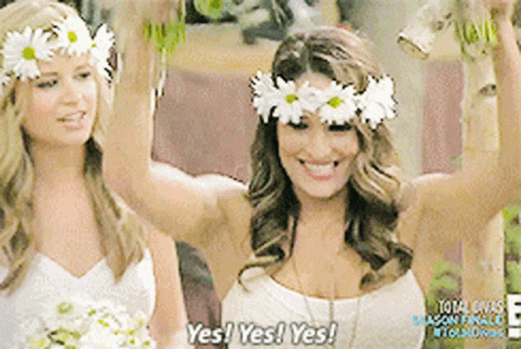 Daniel Bryan Yes Brie Bella Wedding GIF