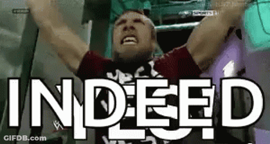 Daniel Bryan Yes Hallway Scream Indeed GIF