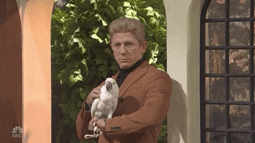 Daniel Craig Carrying The Parrot GIF