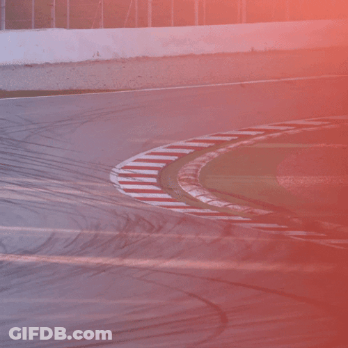 Daniel Ricciardo Racing GIF