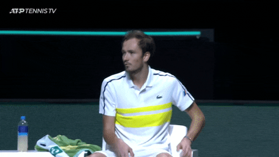 Daniil Medvedev Explaining GIF