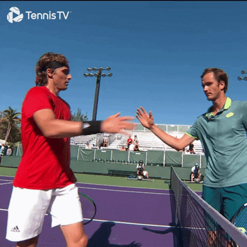Daniil Medvedev Shake Hands GIF