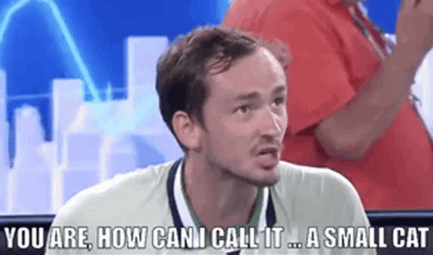 Daniil Medvedev Small Cat GIF