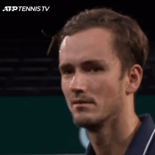 Daniil Medvedev Smiling GIF