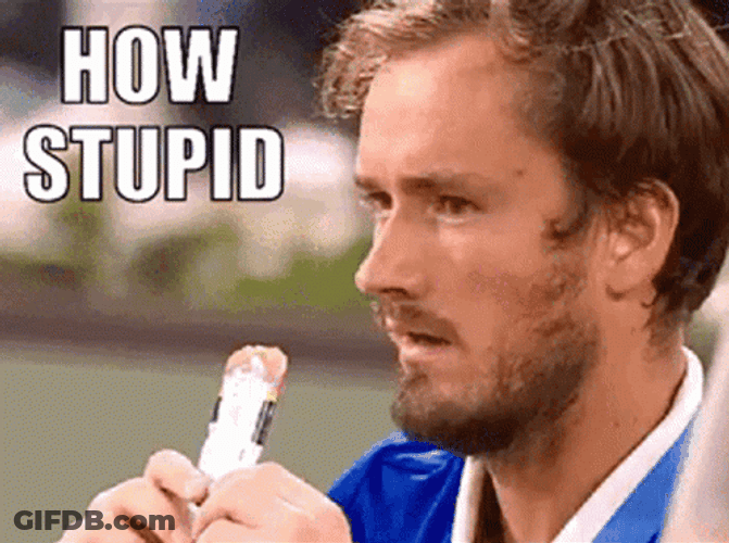 Daniil Medvedev Stupid GIF