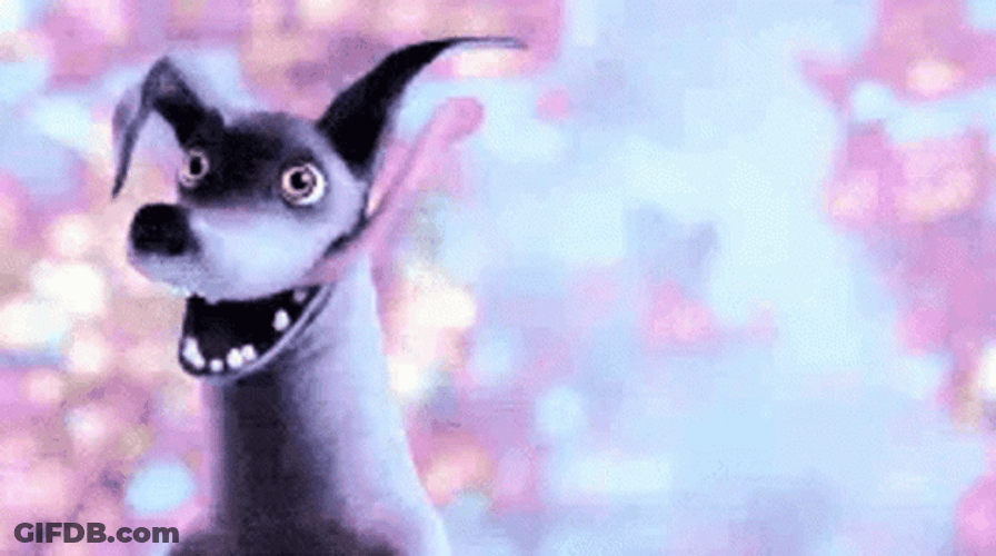 Dante Coco Perro GIF
