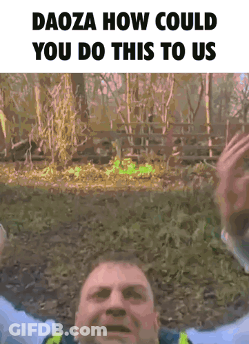 Daoza How Could You Do This Meme GIF