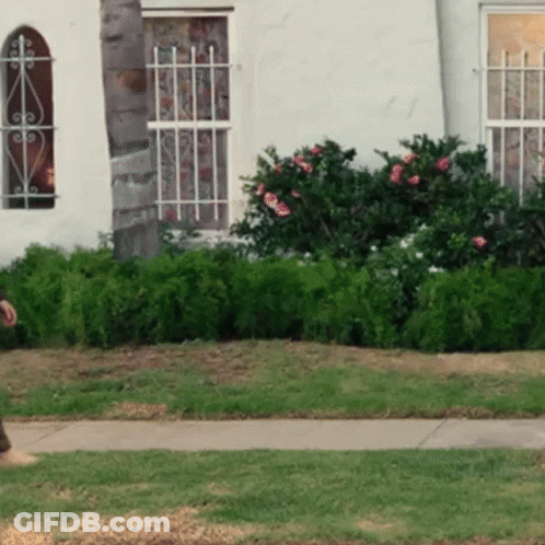 Daredevil Shame Walk GIF