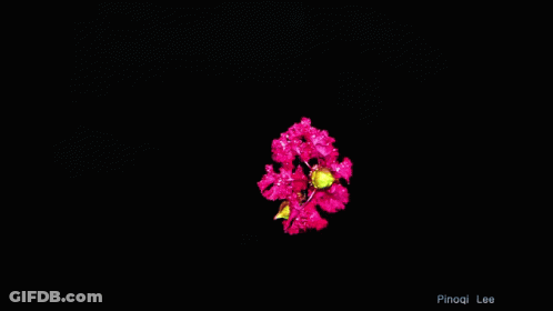 Dark Background With Words GIF