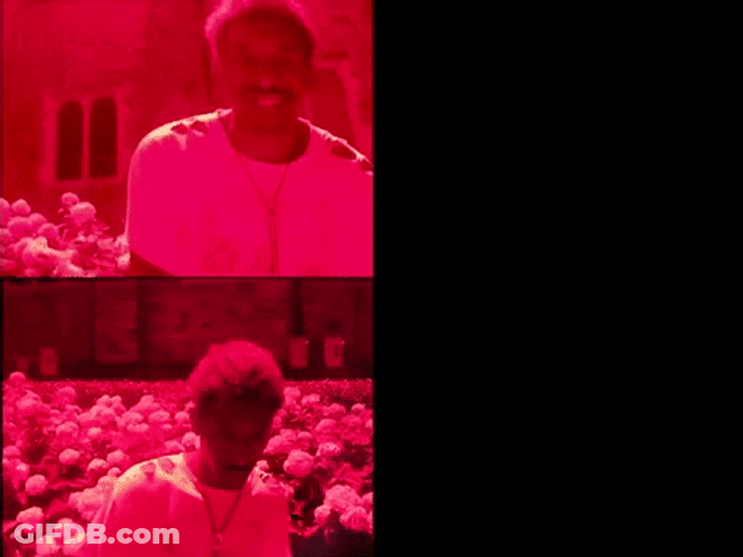 Dark Floral Black Party Music Video GIF