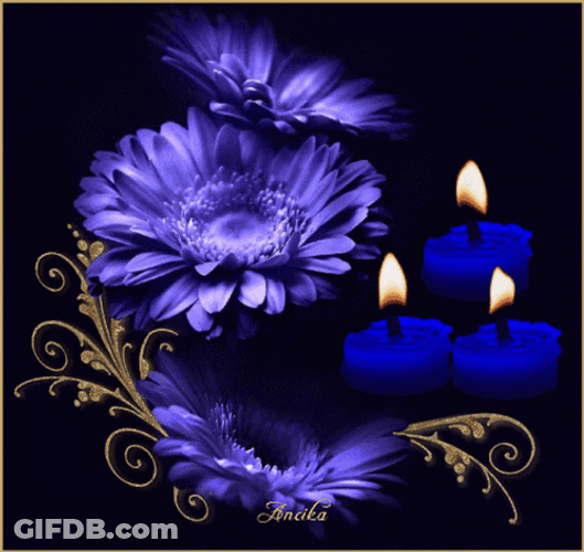 Dark Floral Candle Light GIF