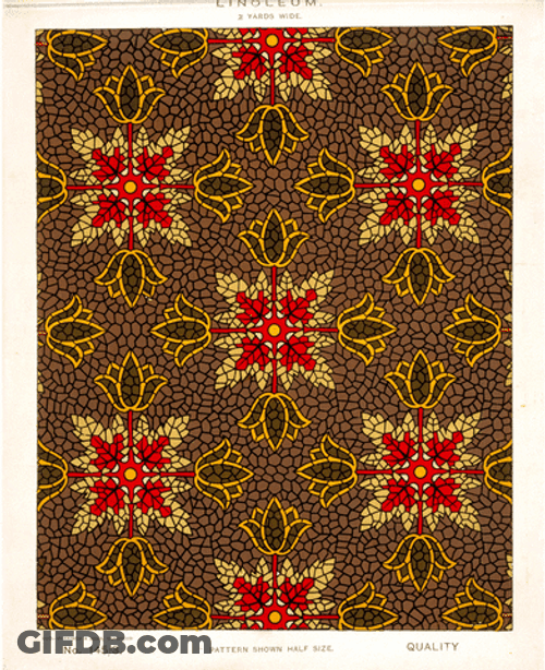 Dark Floral Color Pattern GIF