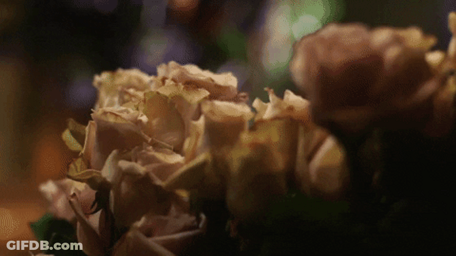 Dark Floral Flower Guy GIF