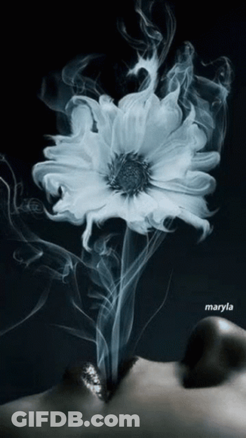 Dark Floral Flower Smoke GIF
