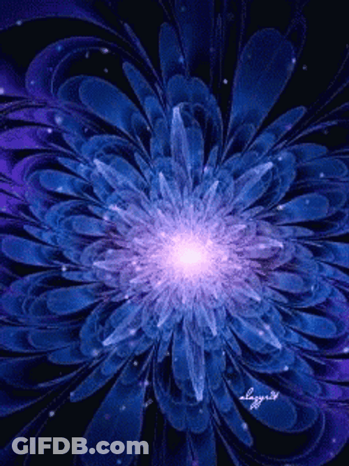 Dark Floral Galaxy Illumination GIF