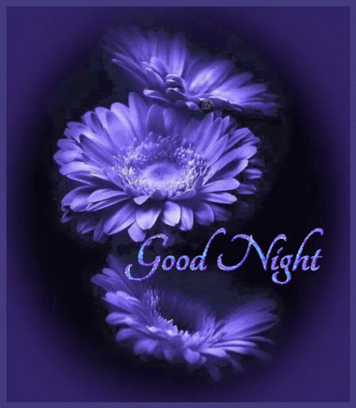 Dark Floral Good Night GIF