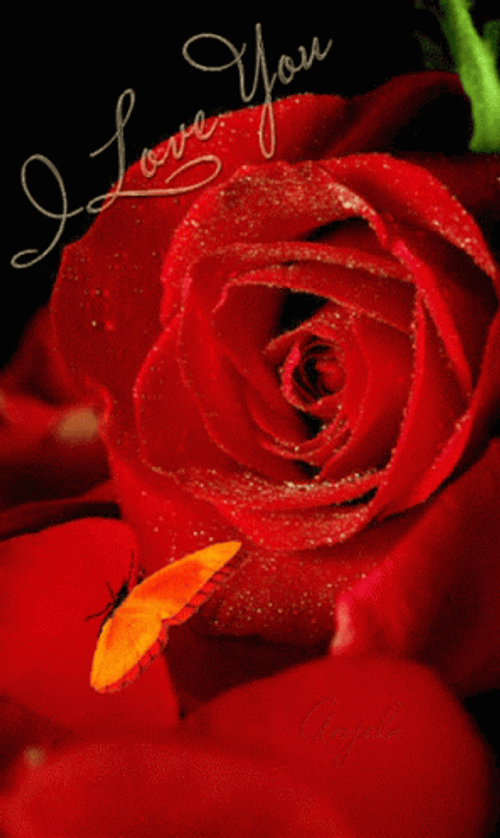 Dark Floral I Love You GIF