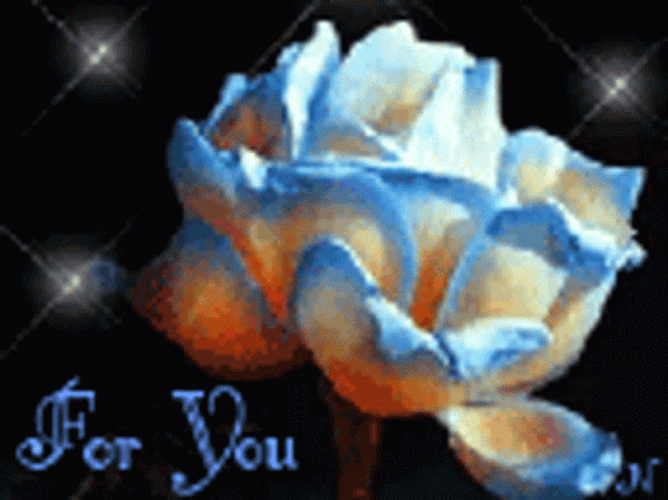 Dark Floral Petals For You GIF