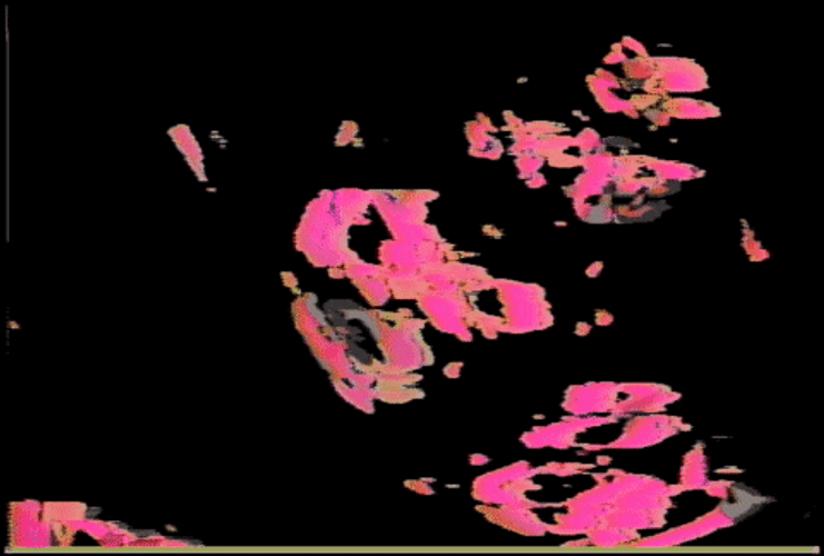 Dark Floral Pink Silhouette GIF