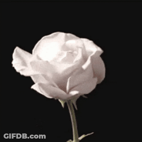 Dark Floral White Happy Birthday GIF