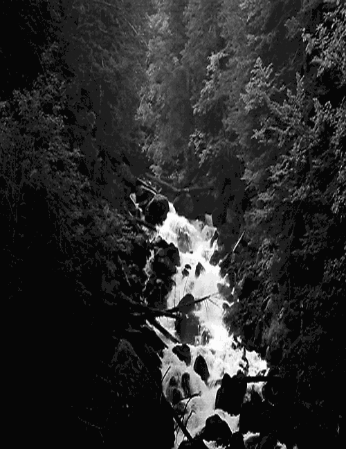 Dark Forest Waterfall Mountain GIF