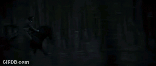 Dark Forest With Blue Light From Ground GIF