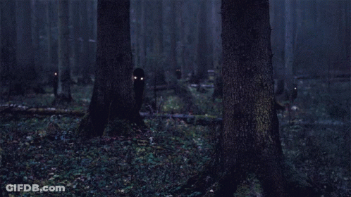 Dark Forest With Glowing Eyes GIF