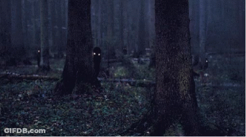 Dark Forest With Glowing Eyes Trees GIF