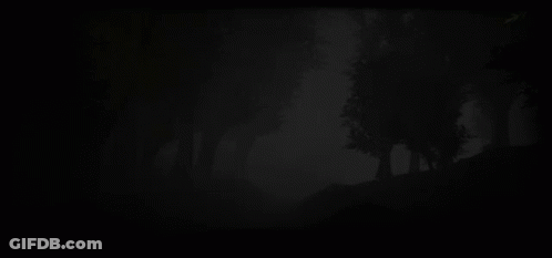 Dark Forest With Trees In Fog GIF