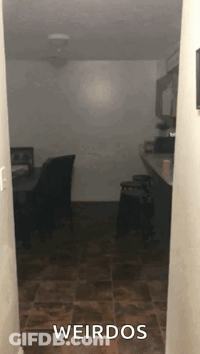 Dark Room With Weirdos GIF