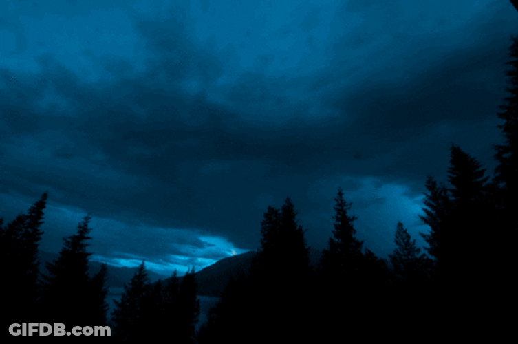 Dark Skies Thunderstorm On Forest GIF