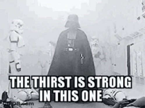 Darth Vader And Stormtroopers Black And White GIF