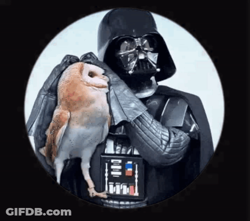 Darth Vader Is Holding An Owl In His Arms While Wearing A Helmet GIF