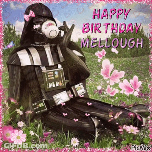 Darth Vader Drinking Tea Pink Flowers GIF