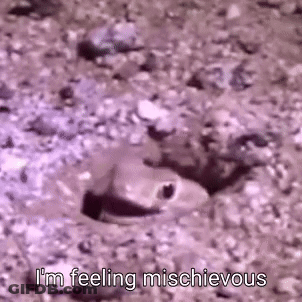 Darwin And Gumball From The Amazing World Of Gumball Standing Together GIF