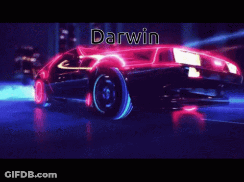 Darwin Name On Car GIF