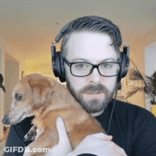 Daschund Puppy Funny Gulp GIF