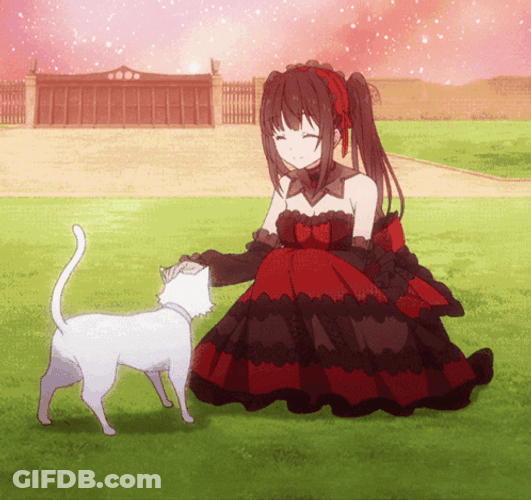 Date A Live Kurumi Adorable Playing Cat GIF