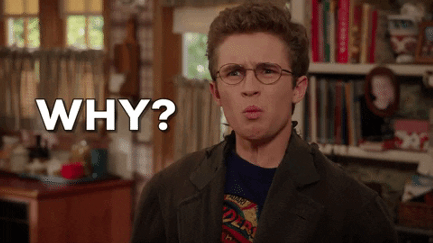 Dave Rygalski Asking Why GIF