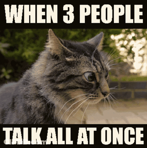 Dave's Not Here Man Cat All At Once GIF